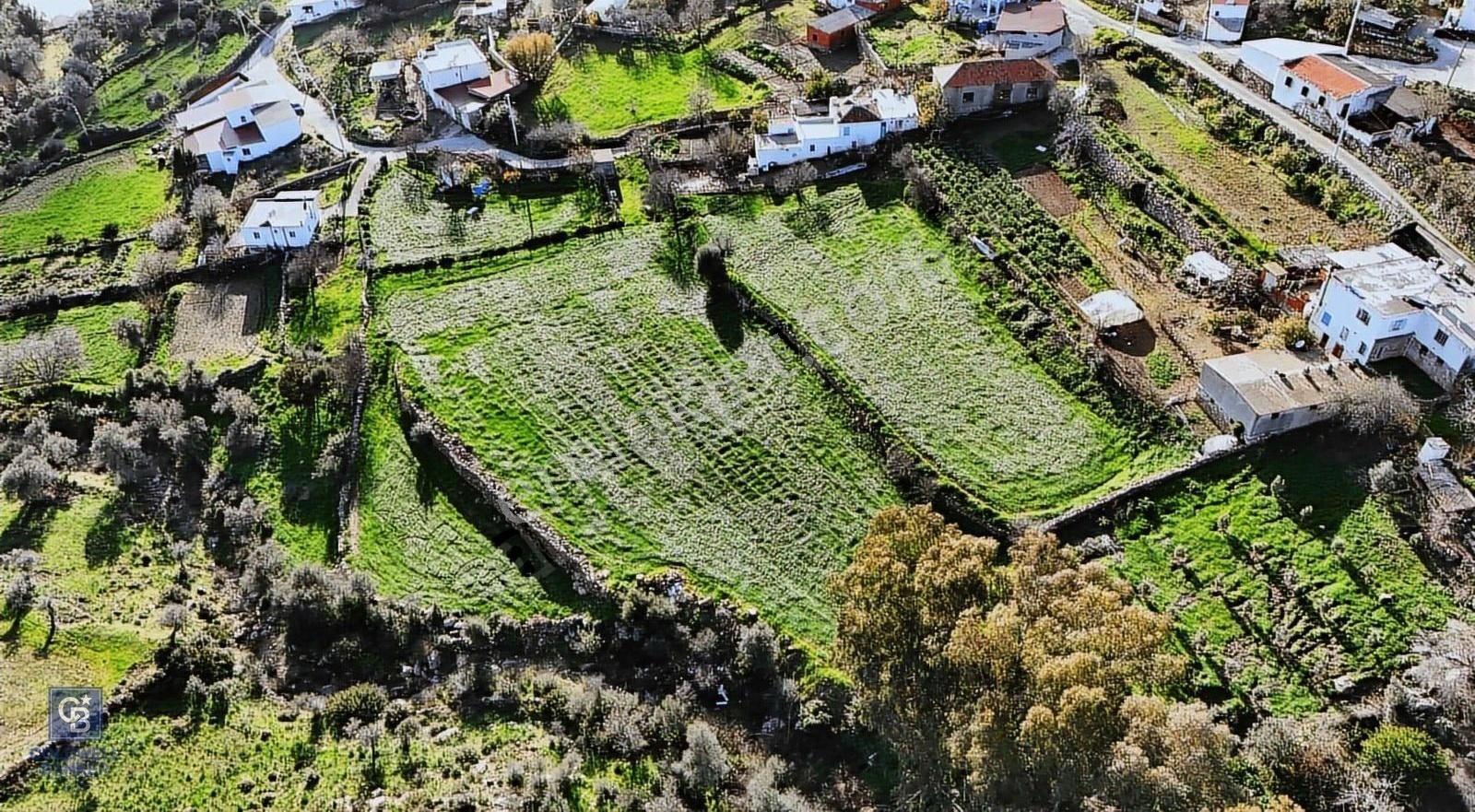 Bodrum Çömlekçi Satılık Konut İmarlı Bodrum Çömlekçi İmarlı Çiftlik Arazisi 7100 M2