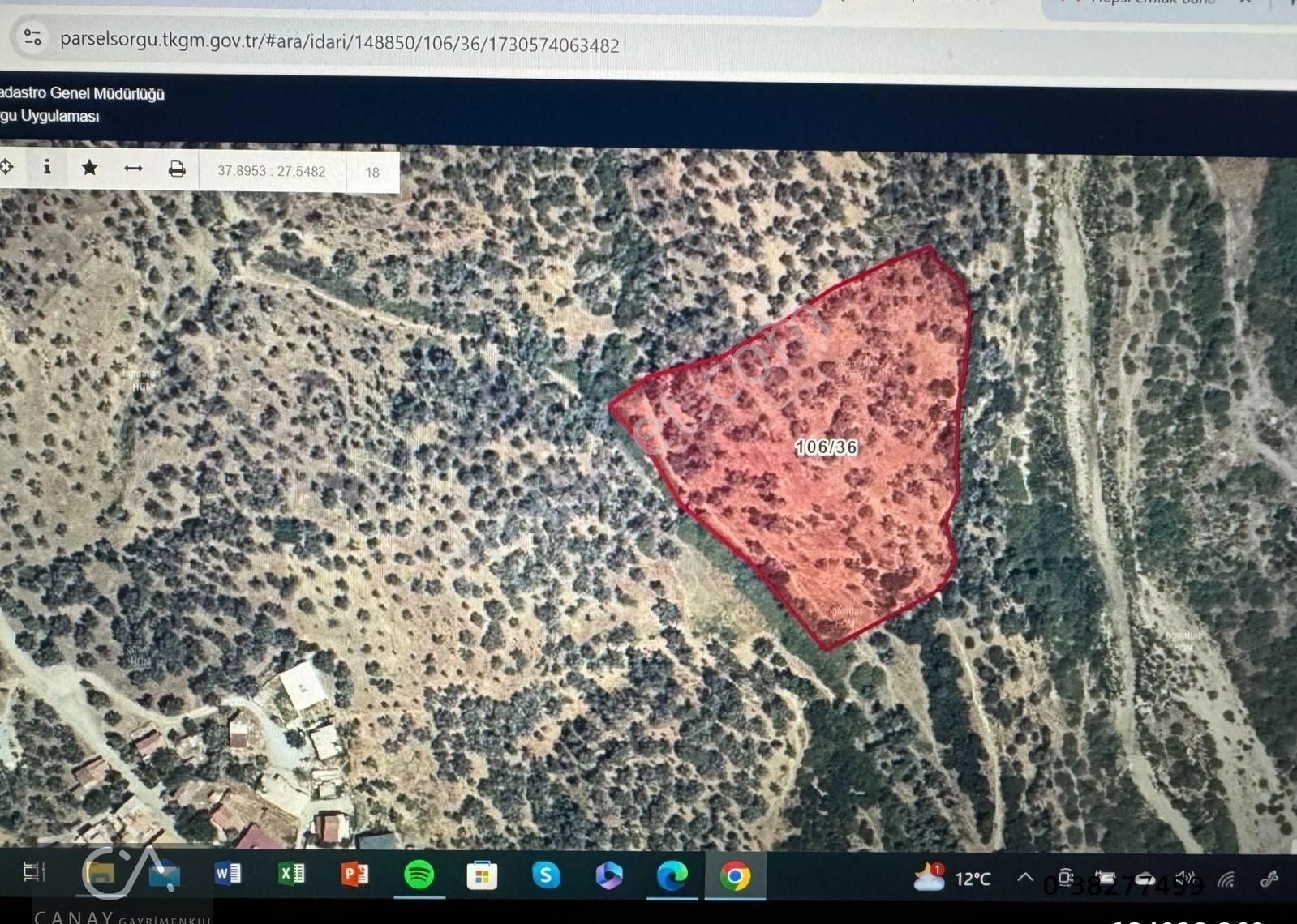 Aydın Germencik Neşetiye 11140 M2 Zeytinlik Satılık - Görsel 3