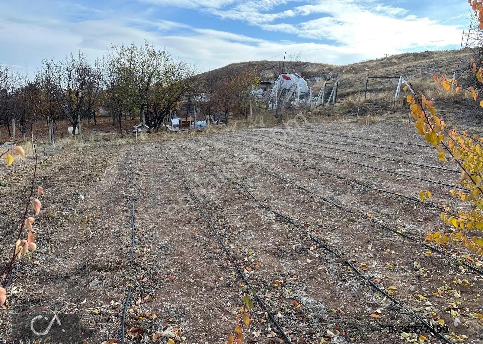 Yenimahalle Yakacık Akseki Mevkii 950 M2 Tarla Satılık - Görsel 2