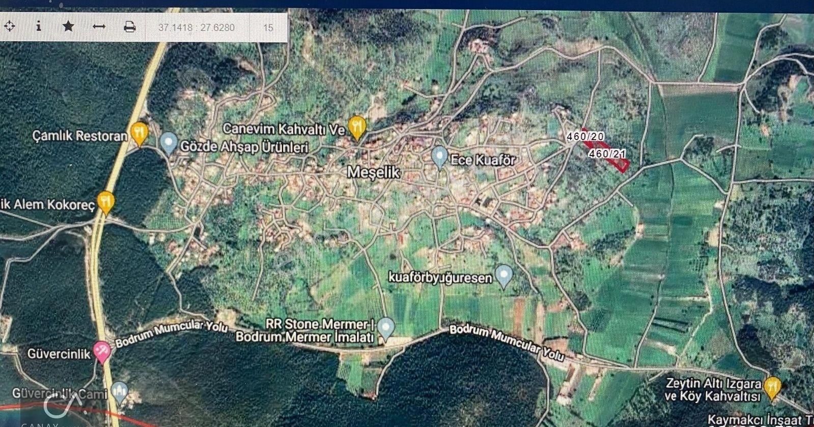 Milas Bodrum Yolunda Meşelik Mah İmarlı 1535 M2 İçinde 300 M2 Havuzlu Villa -zeytinlik Satılık - Görsel 14