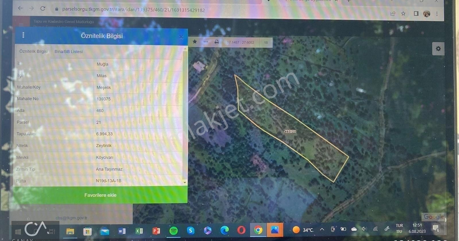 Milas Bodrum Yolunda Meşelik Mh İmarlı 20 İla 25 Villa Yapmaya Uygun Zeytinlik - Görsel 11