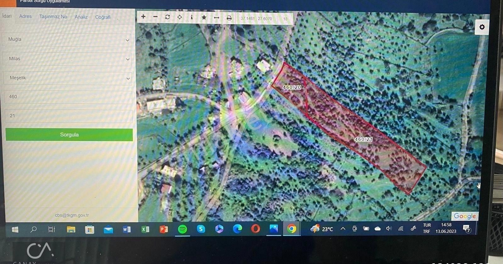 Milas Bodrum Yolunda Meşelik Mh İmarlı 20 İla 25 Villa Yapmaya Uygun Zeytinlik - Görsel 14