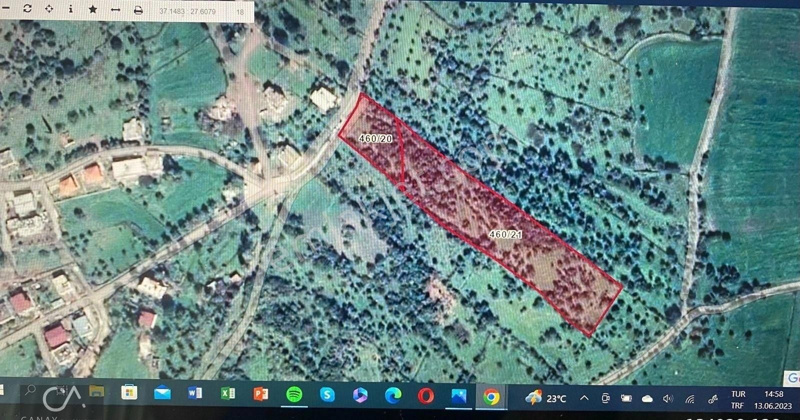 Milas Bodrum Yolunda Meşelik Mh İmarlı 20 İla 25 Villa Yapmaya Uygun Zeytinlik - Görsel 4