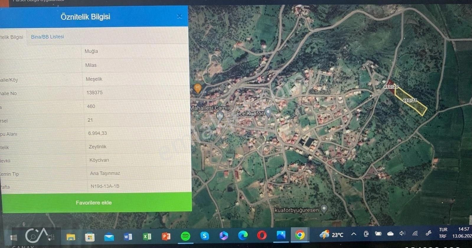 Milas Bodrum Yolunda Meşelik Mh İmarlı 20 İla 25 Villa Yapmaya Uygun Zeytinlik - Görsel 15