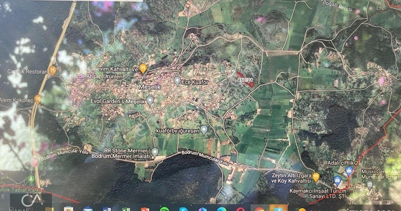 Milas Bodrum Yolunda Meşelik Mh İmarlı 20 İla 25 Villa Yapmaya Uygun Zeytinlik - Görsel 13