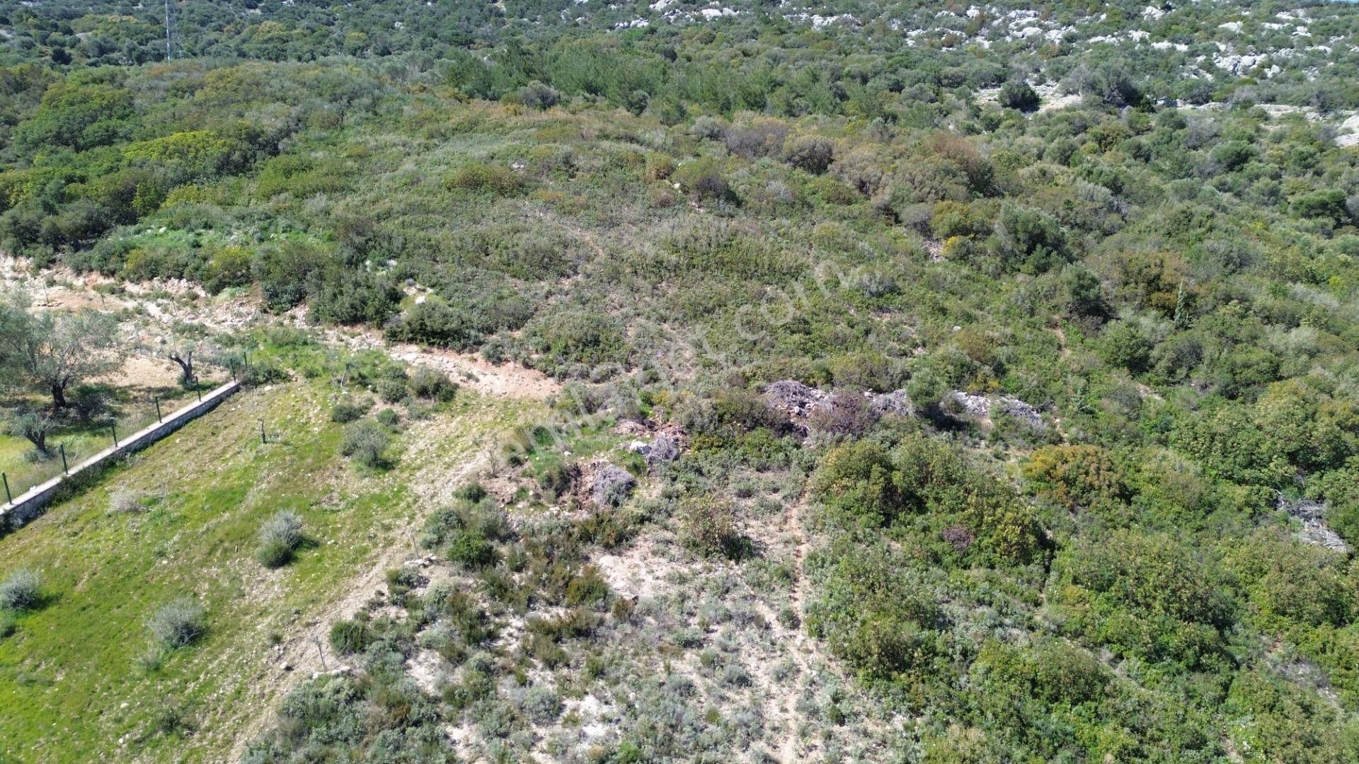 Karaburun Mordoğan Azmak Mevkii'nde 927 M2 Deniz Manzaralı Tarla - Görsel 23