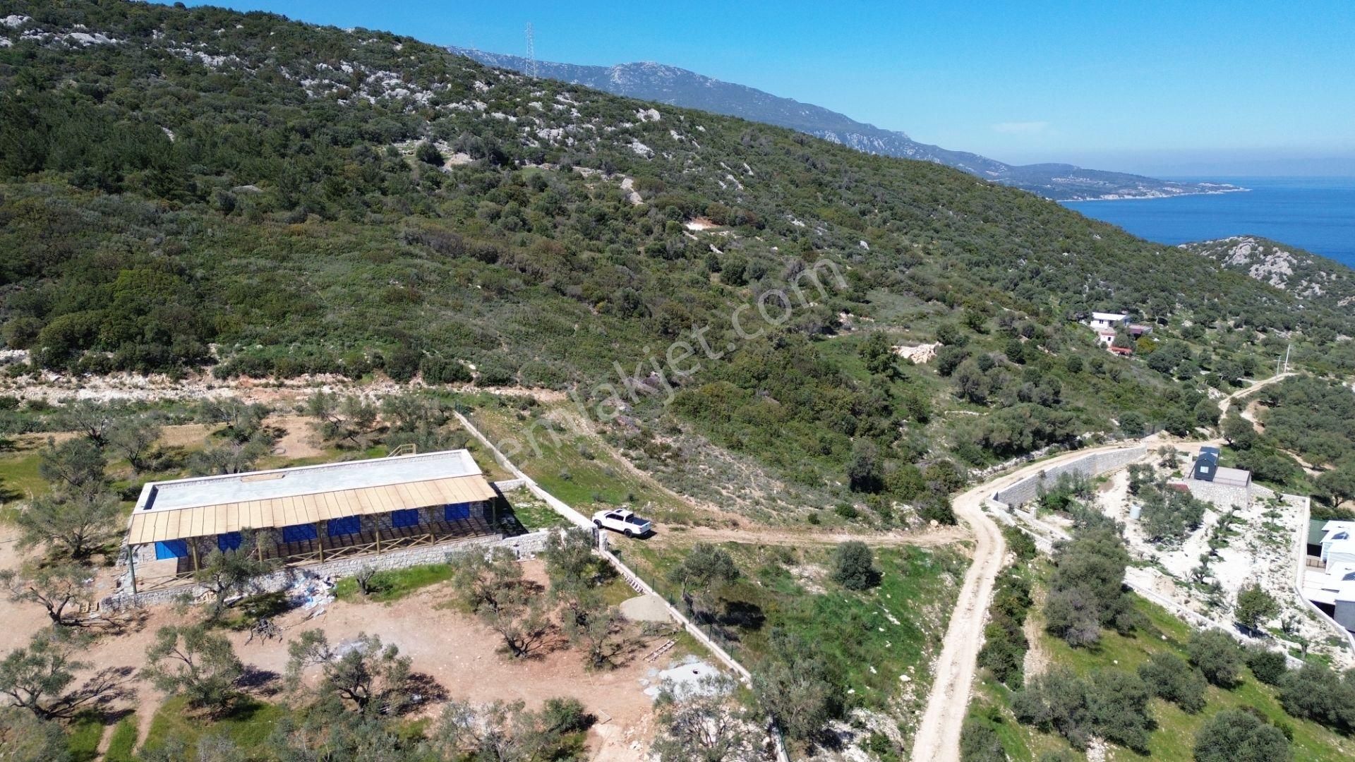 Karaburun Mordoğan Azmak Mevkii'nde 927 M2 Deniz Manzaralı Tarla - Görsel 13