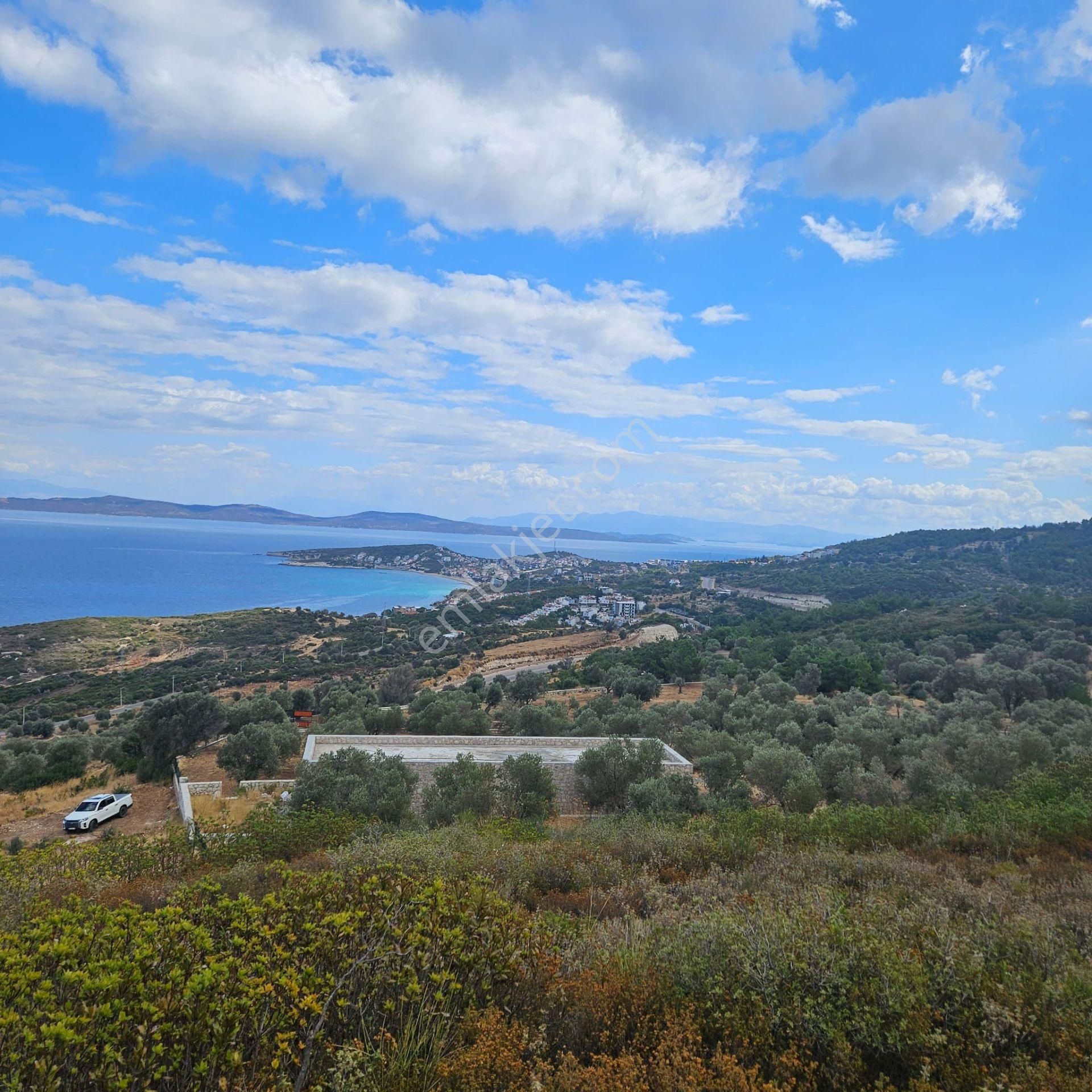 Karaburun Mordoğan Satılık Tarla Karaburun Mordoğan Azmak Mevkii'nde 927 M2 Deniz Manzaralı Tarla