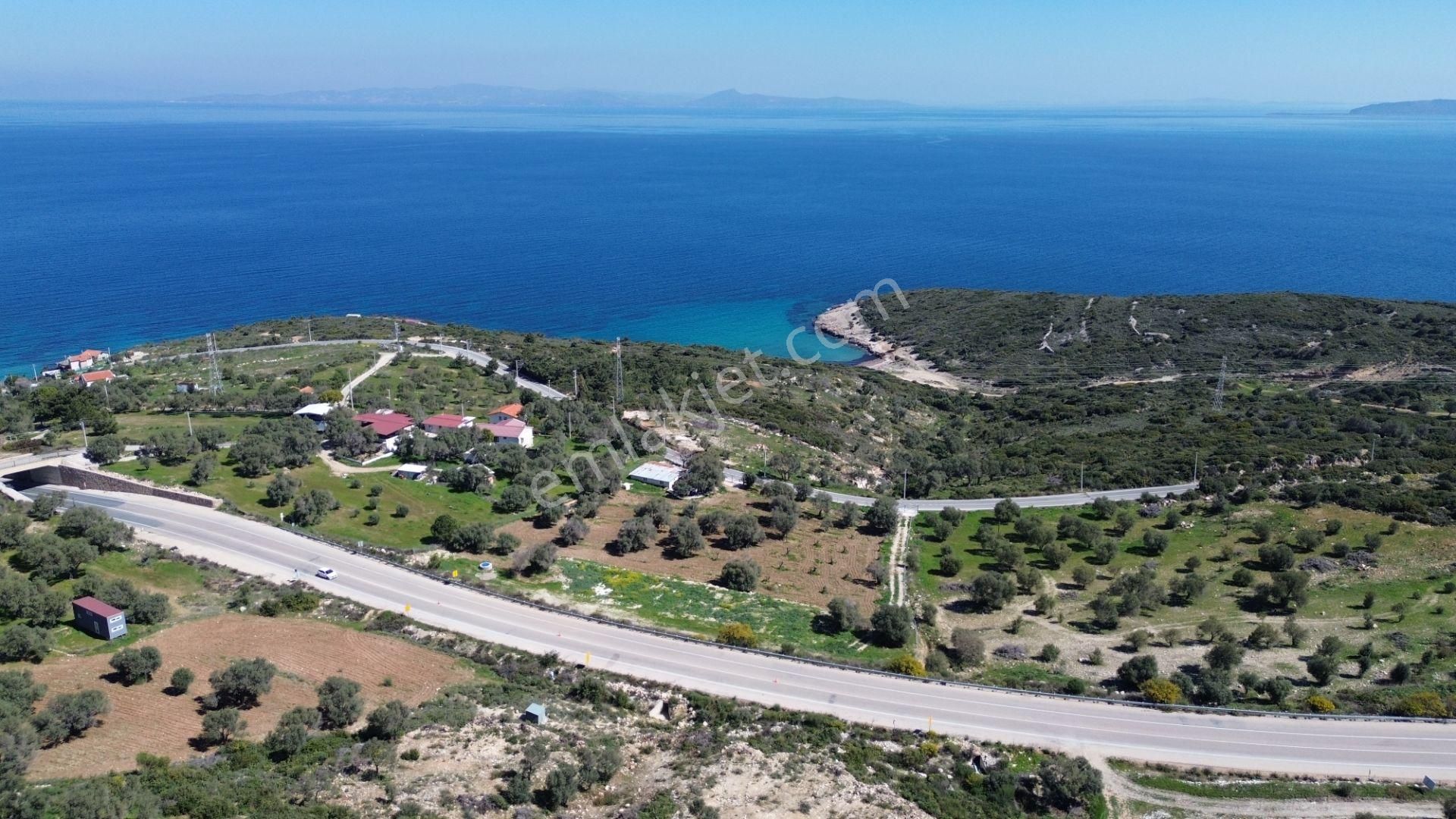 Karaburun Mordoğan Azmak Mevkii'nde 927 M2 Deniz Manzaralı Tarla - Görsel 10