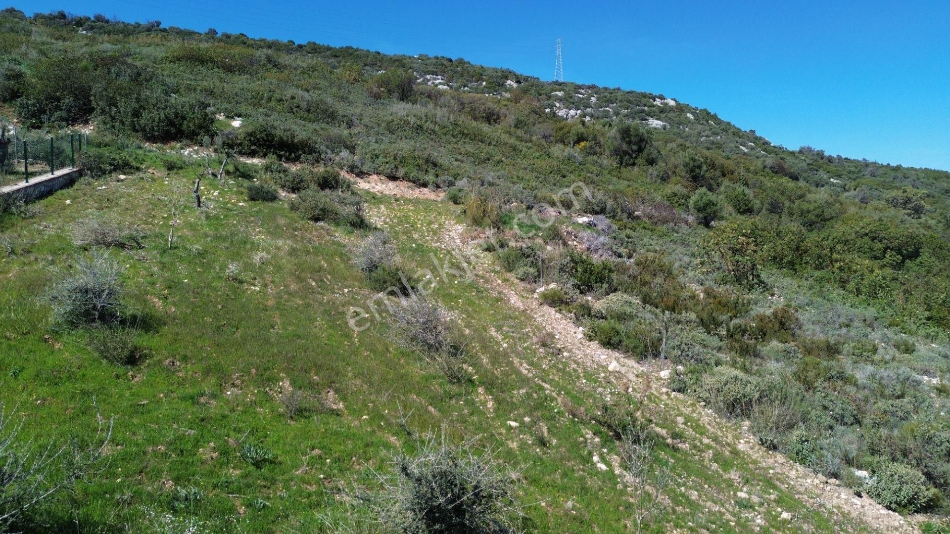 Karaburun Mordoğan Azmak Mevkii'nde 927 M2 Deniz Manzaralı Tarla - Görsel 27