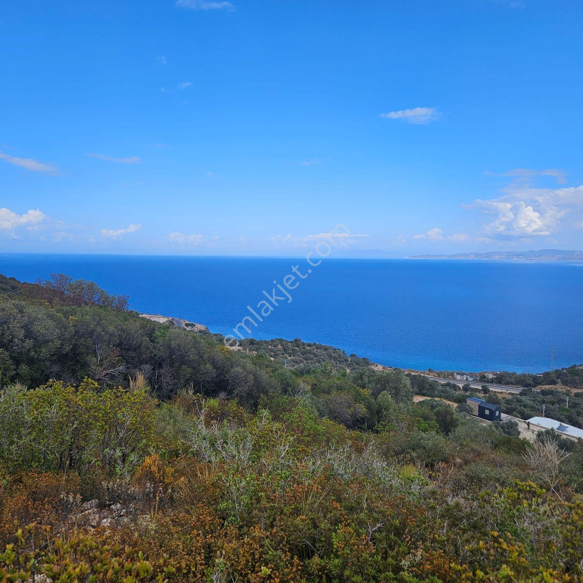 Karaburun Mordoğan Azmak Mevkii'nde 927 M2 Deniz Manzaralı Tarla - Görsel 31