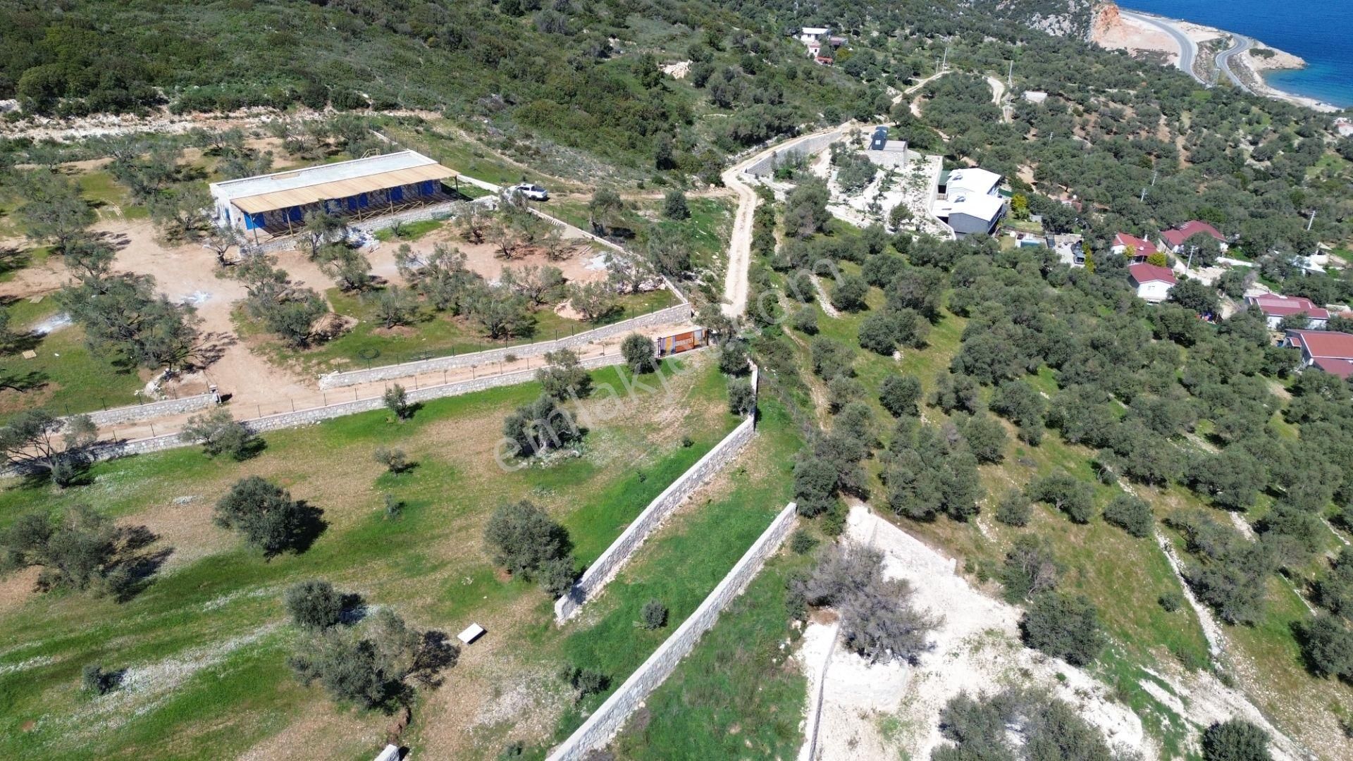 Karaburun Mordoğan Azmak Mevkii'nde 927 M2 Deniz Manzaralı Tarla - Görsel 19