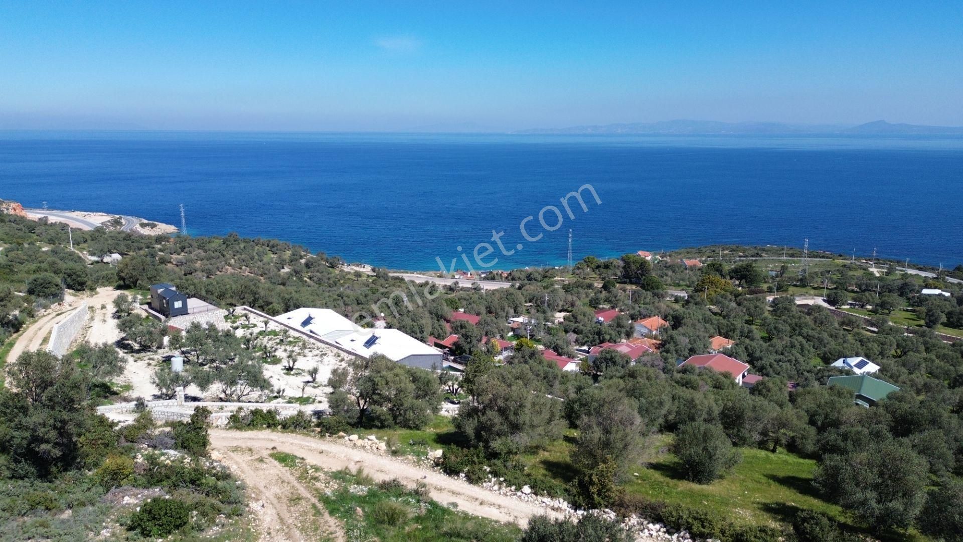 Karaburun Mordoğan Azmak Mevkii'nde 927 M2 Deniz Manzaralı Tarla - Görsel 12