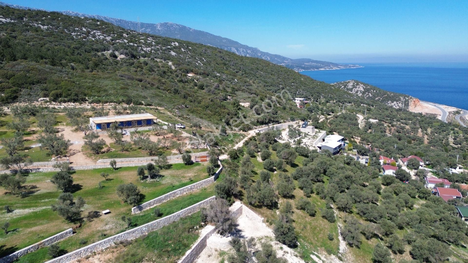 Karaburun Mordoğan Azmak Mevkii'nde 927 M2 Deniz Manzaralı Tarla - Görsel 14