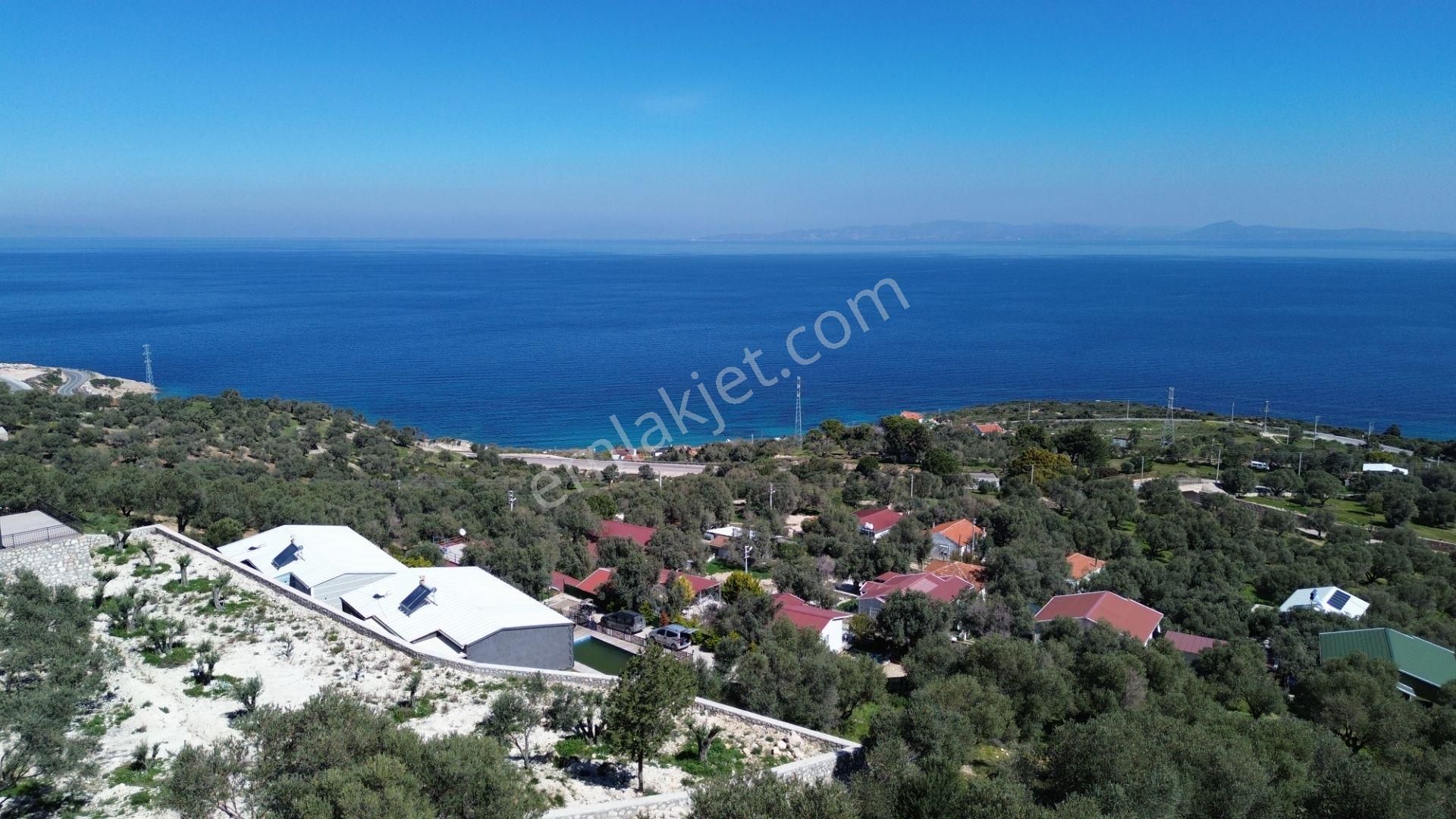 Karaburun Mordoğan Azmak Mevkii'nde 927 M2 Deniz Manzaralı Tarla - Görsel 25