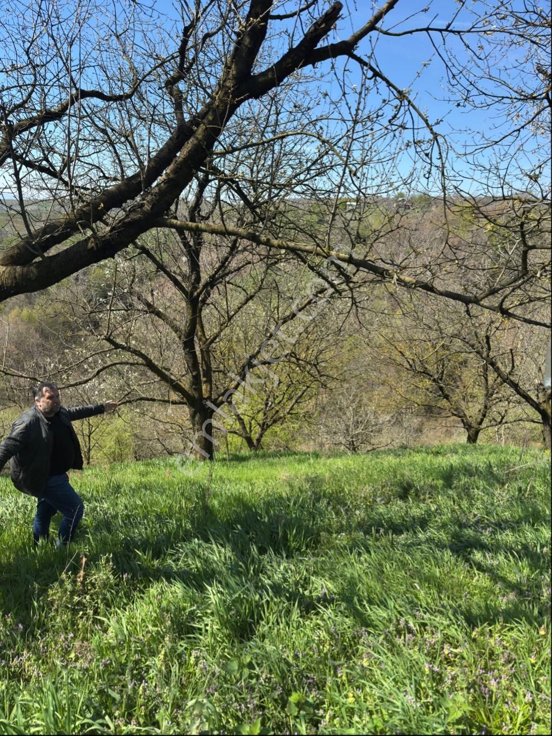 Kocaeli Kartepe Avluburun Köyünde 7.784 M2 Tarla - Görsel 8