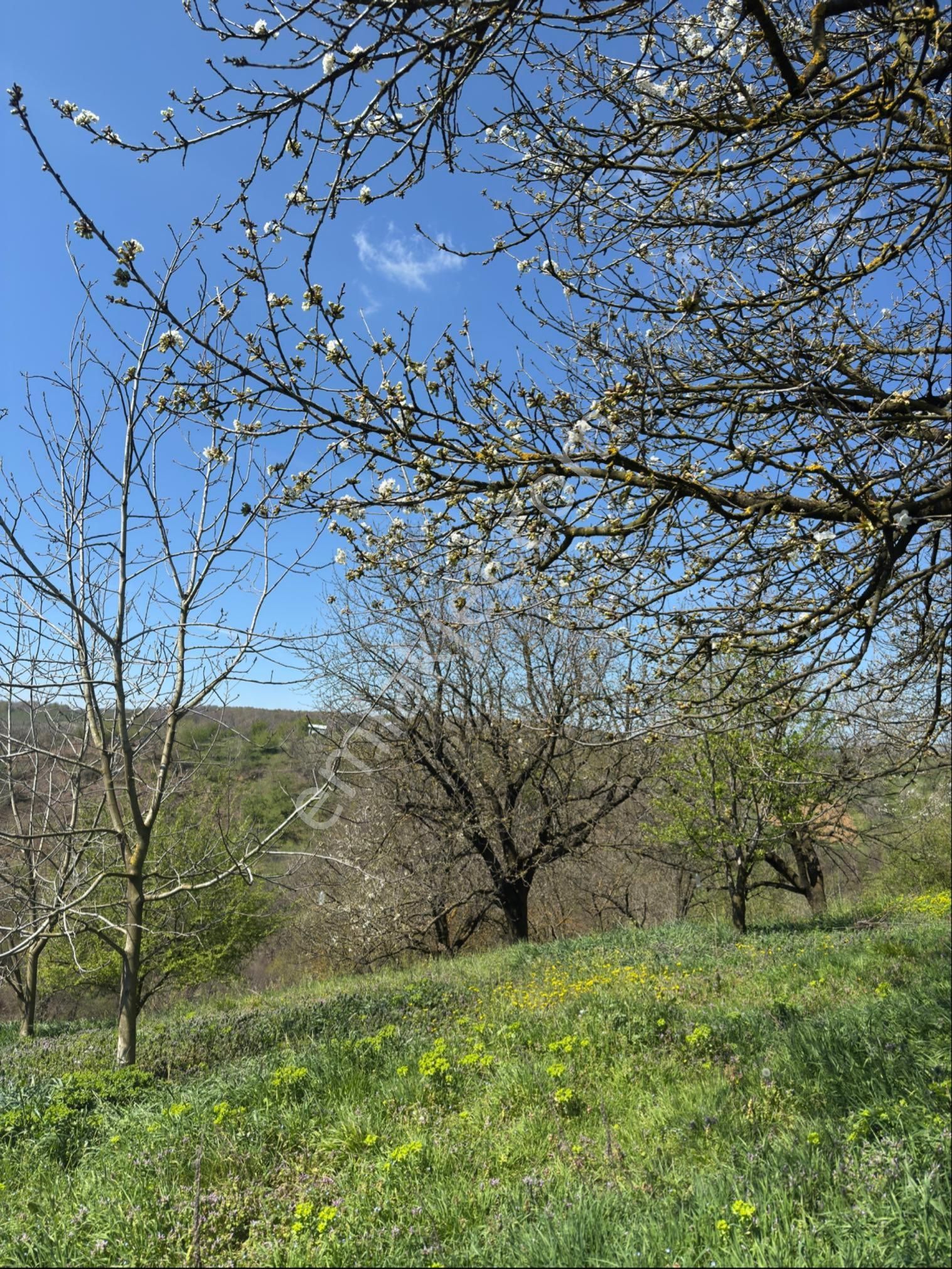 Kocaeli Kartepe Avluburun Köyünde 7.784 M2 Tarla - Görsel 12
