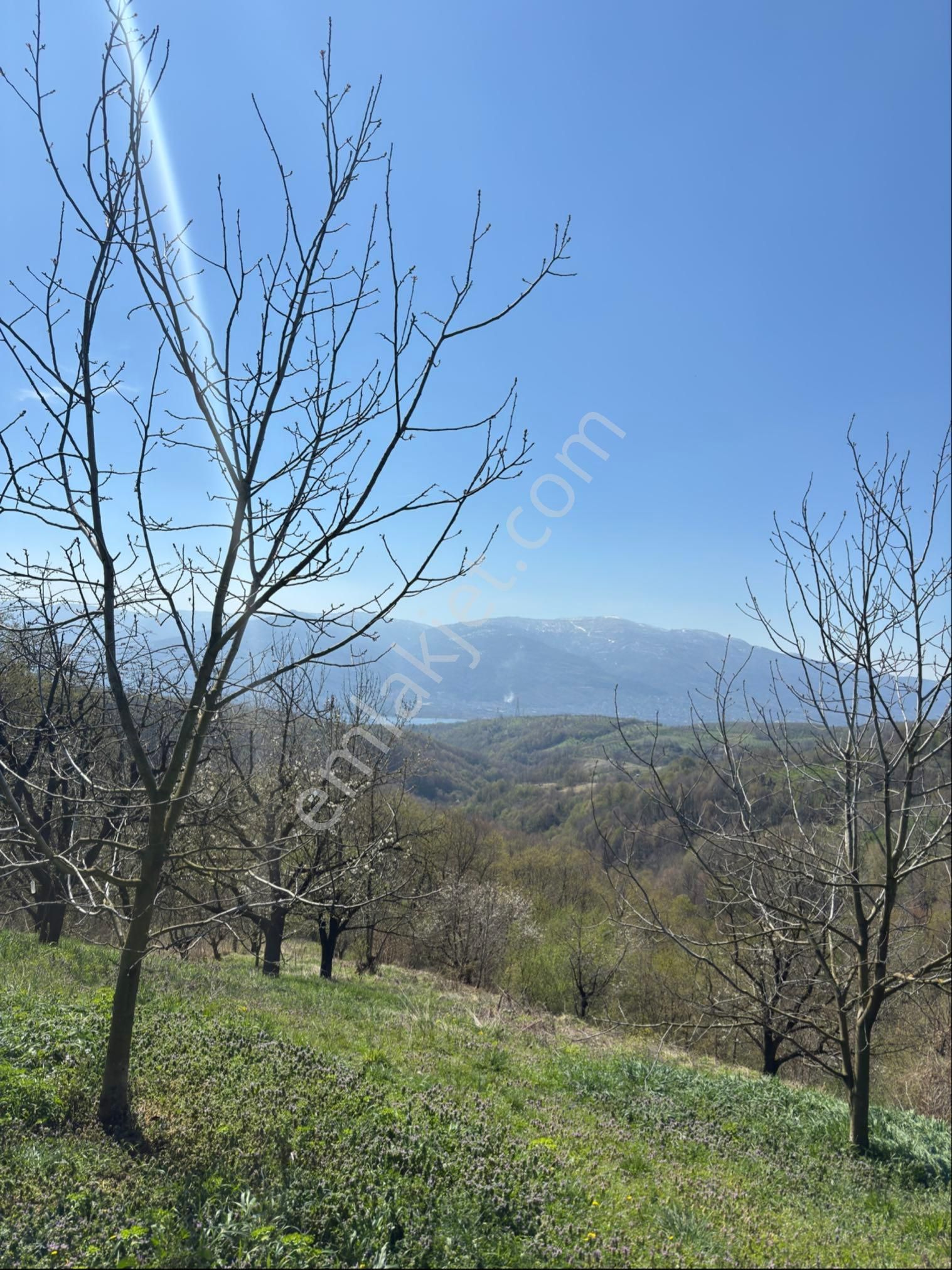 Kocaeli Kartepe Avluburun Köyünde 7.784 M2 Tarla - Görsel 9