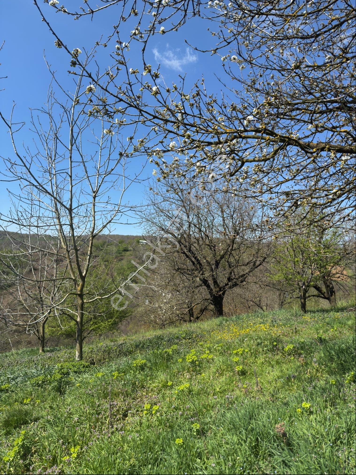 Kocaeli Kartepe Avluburun Köyünde 7.784 M2 Tarla - Görsel 11