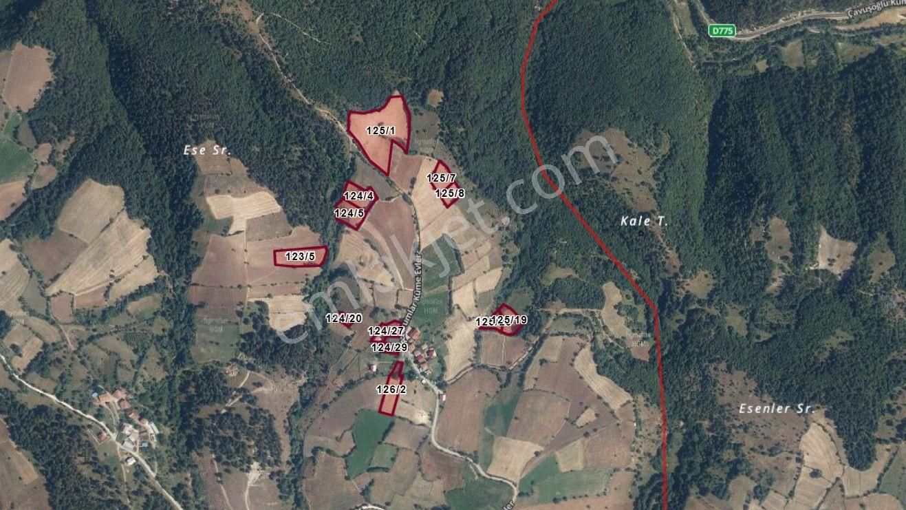 Kastamonu Emlak Gayrimenkul'den Satılık Gelinören 32592 M² Arazi - Görsel 4