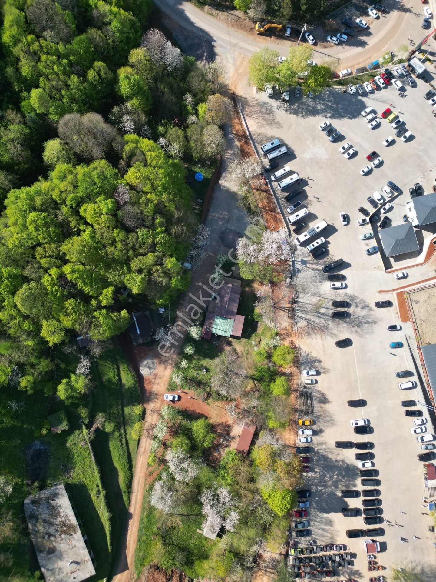 M.r'den Kartepe Eğlence Merkezinin Yanında Kiralık 2566 M2 Arazi