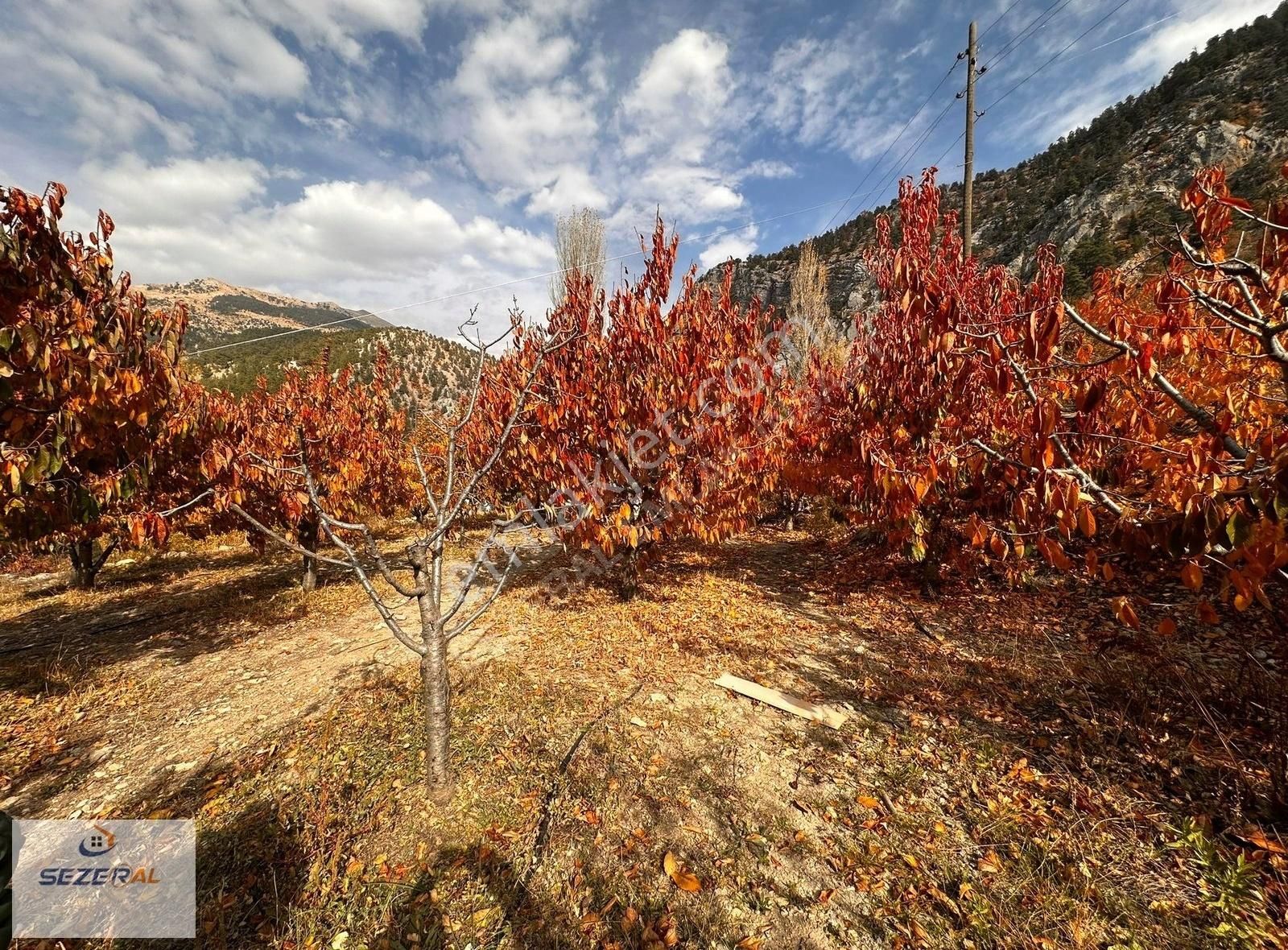 Alanya Fakırcalı Yaylasında Satılık Bahçeli Kurulu Düzen Ev - Görsel 17
