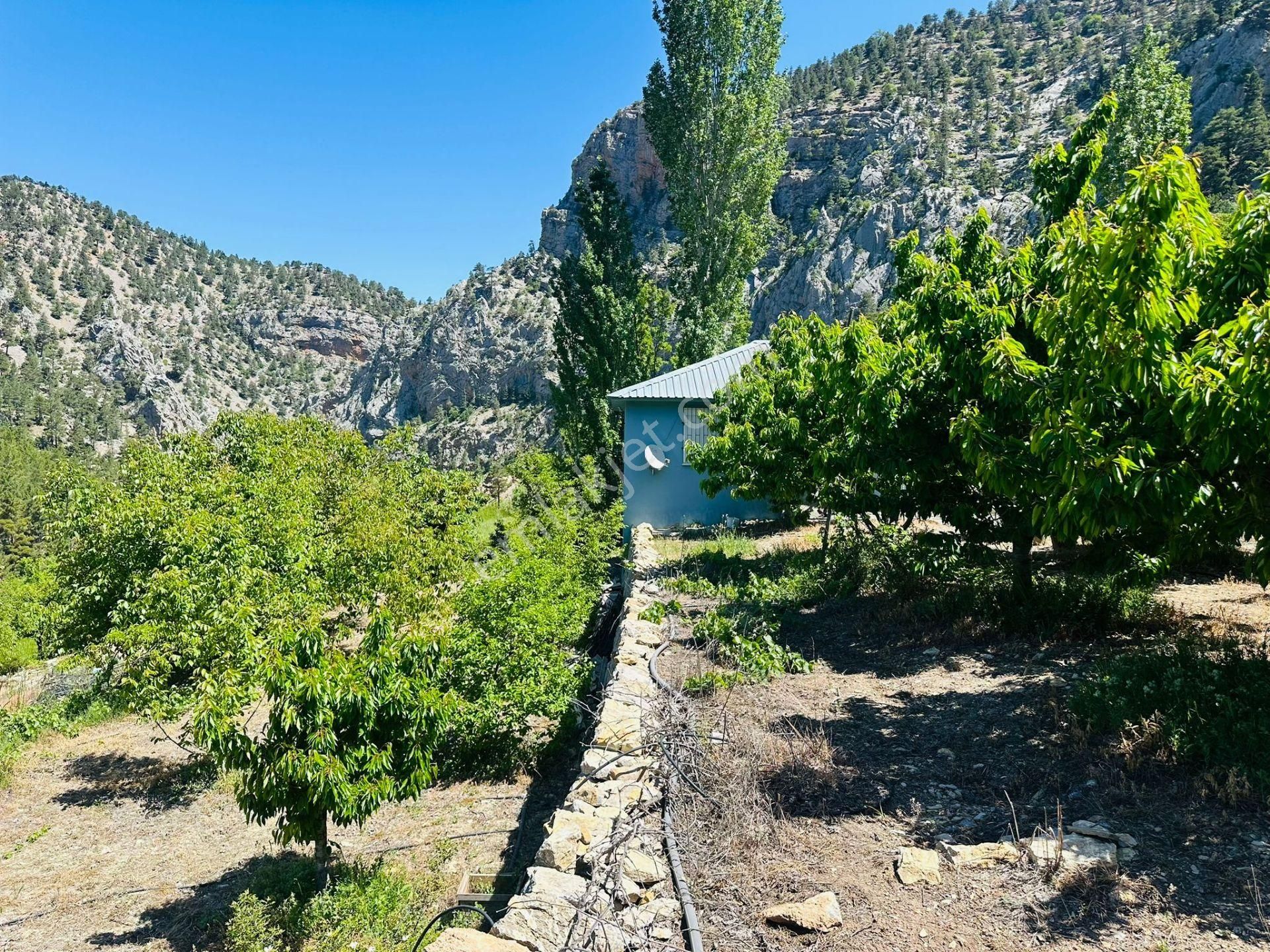 Alanya Fakırcalı Yaylasında Satılık Bahçeli Kurulu Düzen Ev - Görsel 6