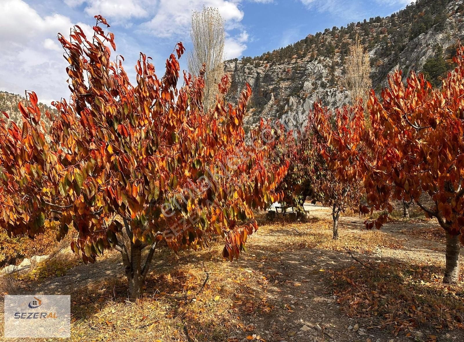 Alanya Fakırcalı Yaylasında Satılık Bahçeli Kurulu Düzen Ev - Görsel 21