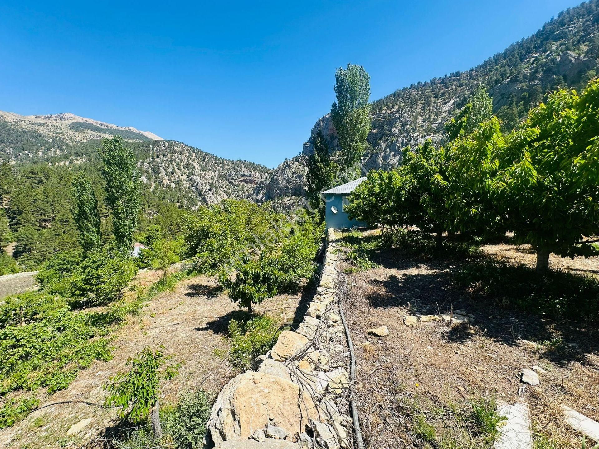 Alanya Fakırcalı Yaylasında Satılık Bahçeli Kurulu Düzen Ev - Görsel 2