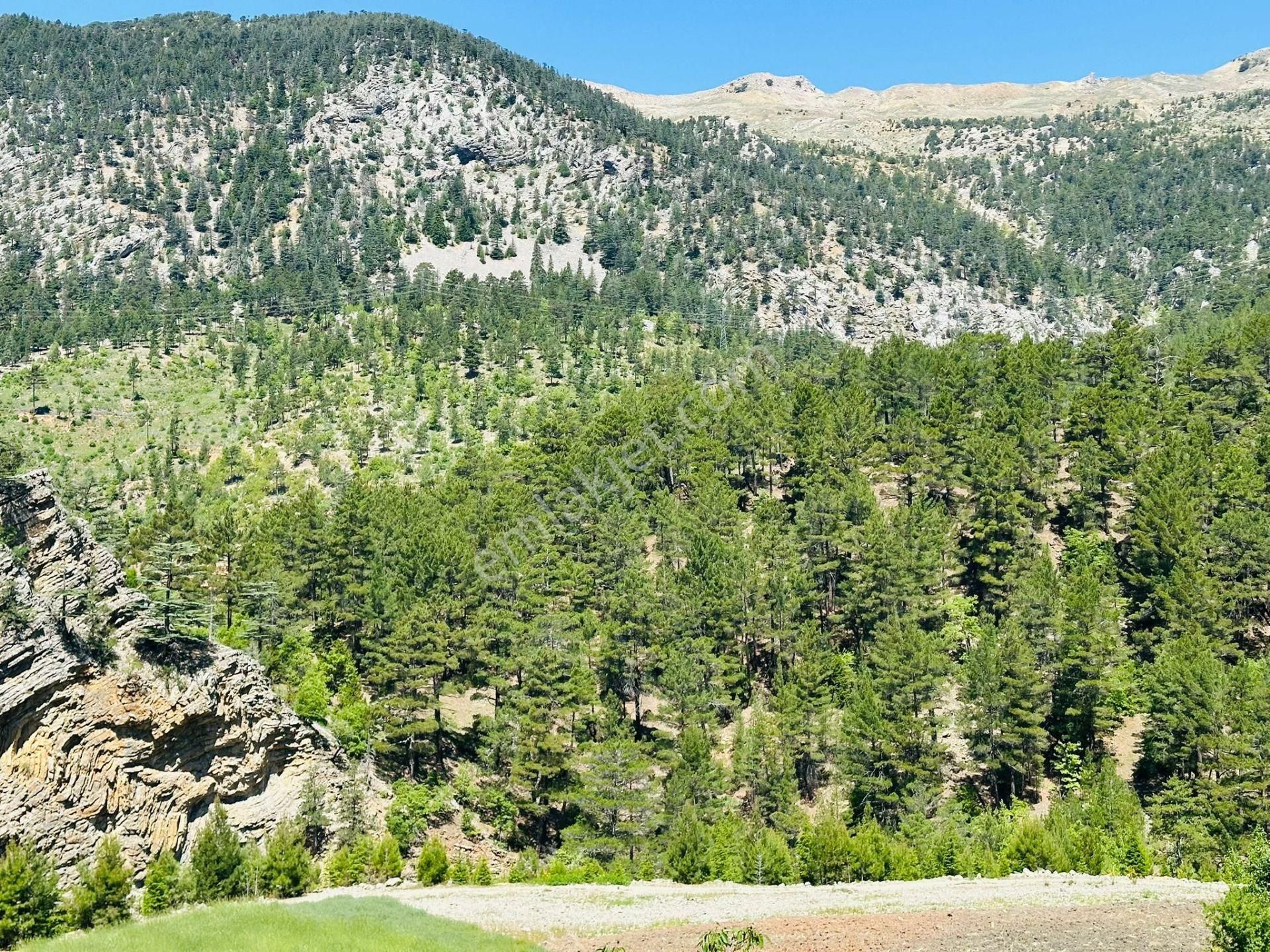 Alanya Fakırcalı Yaylasında Satılık Bahçeli Kurulu Düzen Ev - Görsel 29