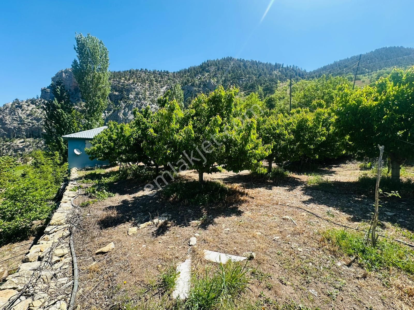 Alanya Fakırcalı Yaylasında Satılık Bahçeli Kurulu Düzen Ev - Görsel 28