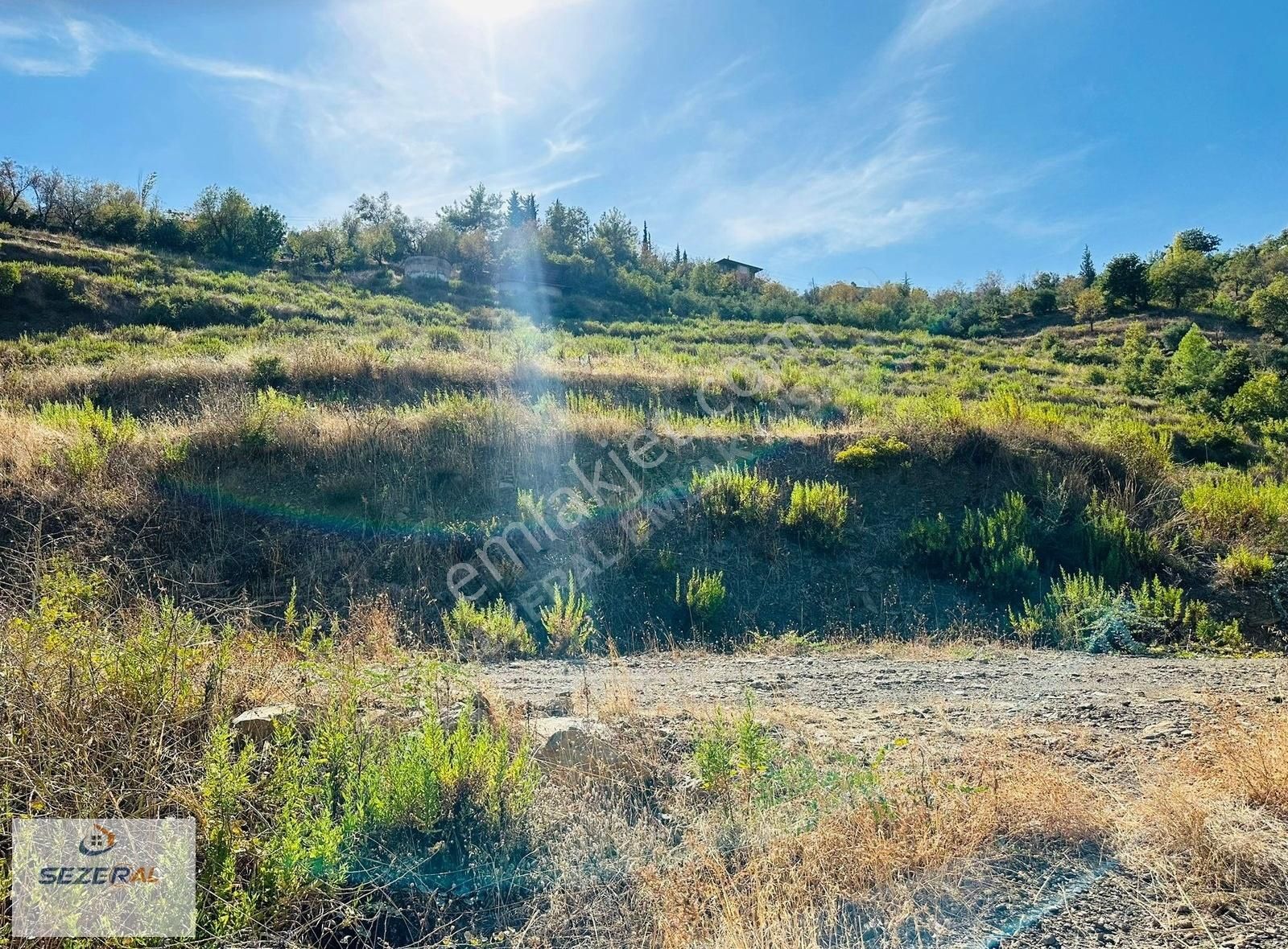 Alanya Da Satılık 25 Dönüm Tek Tapu Tarla Fırsat - Görsel 7