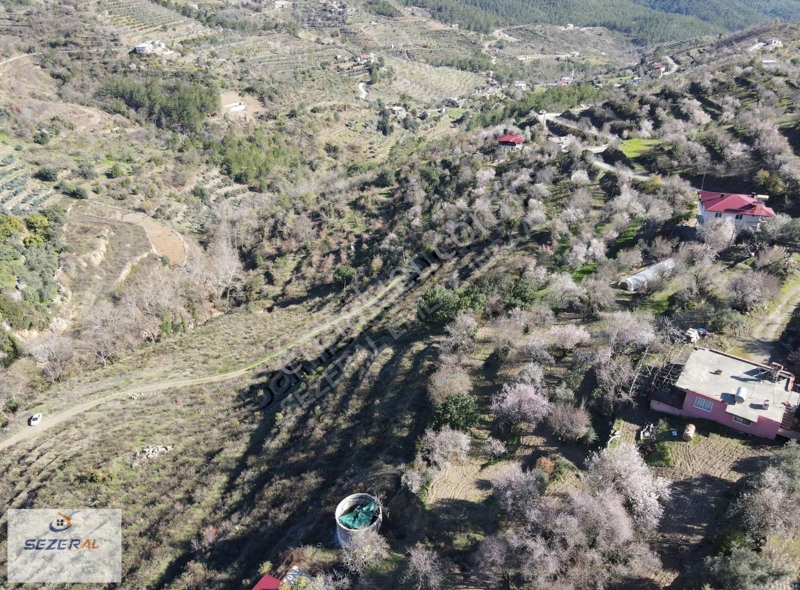 Alanya Da Satılık 25 Dönüm Tek Tapu Tarla Fırsat - Görsel 5