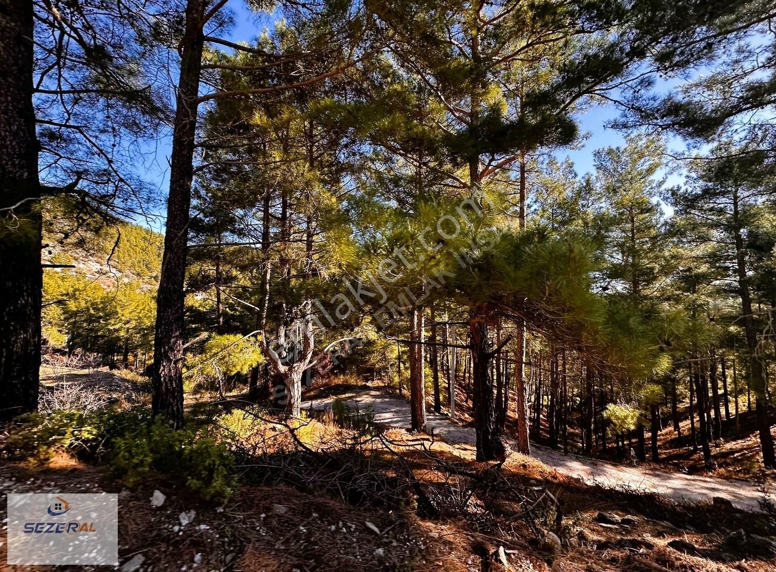 Alanya Mahmutseydi Meşeardı Satılık Tarla - Görsel 7