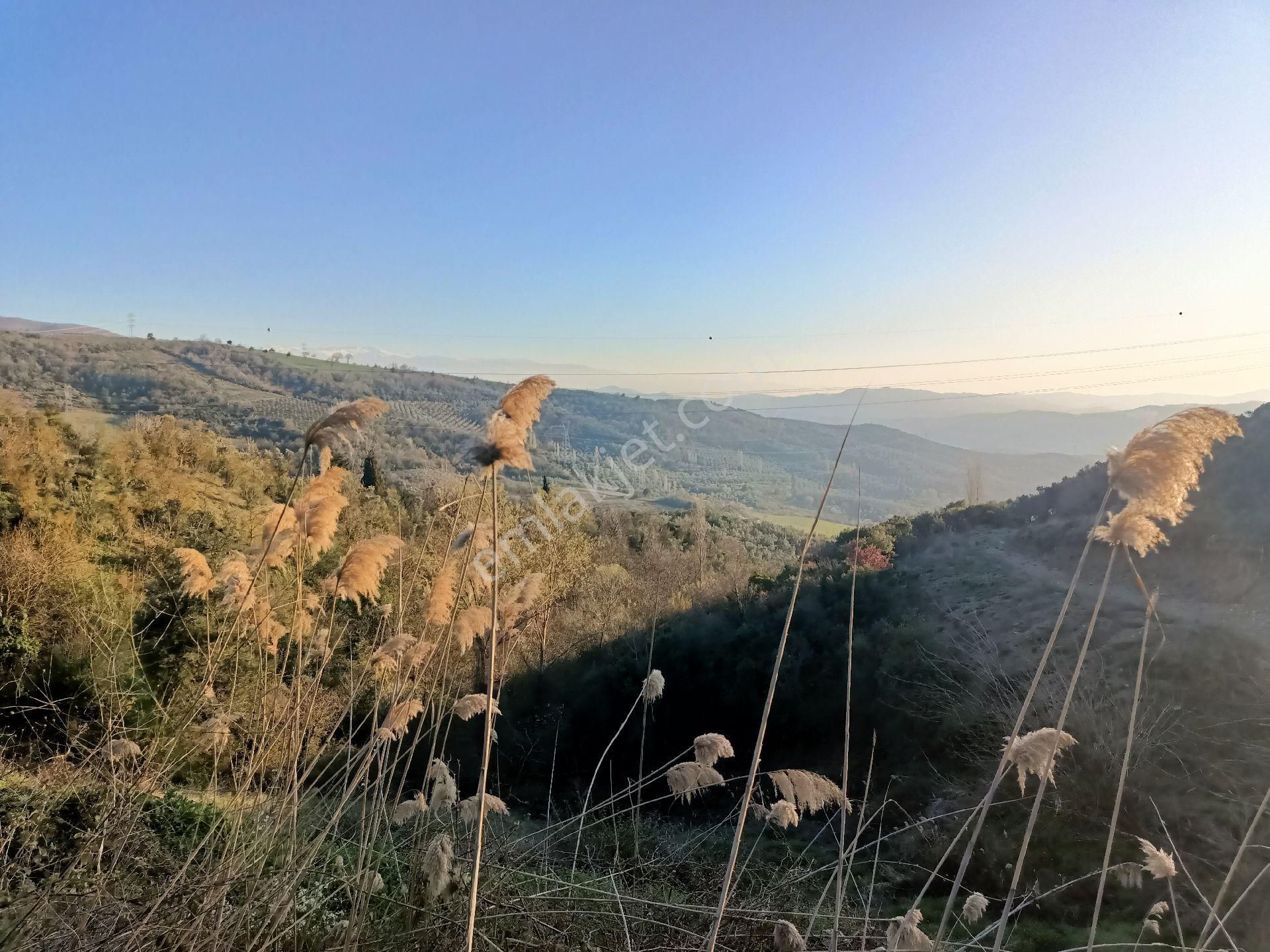 Alpasalan Emlak. 4515m2 Yol Kenarı Su İmkanlı Tarla - Görsel 7
