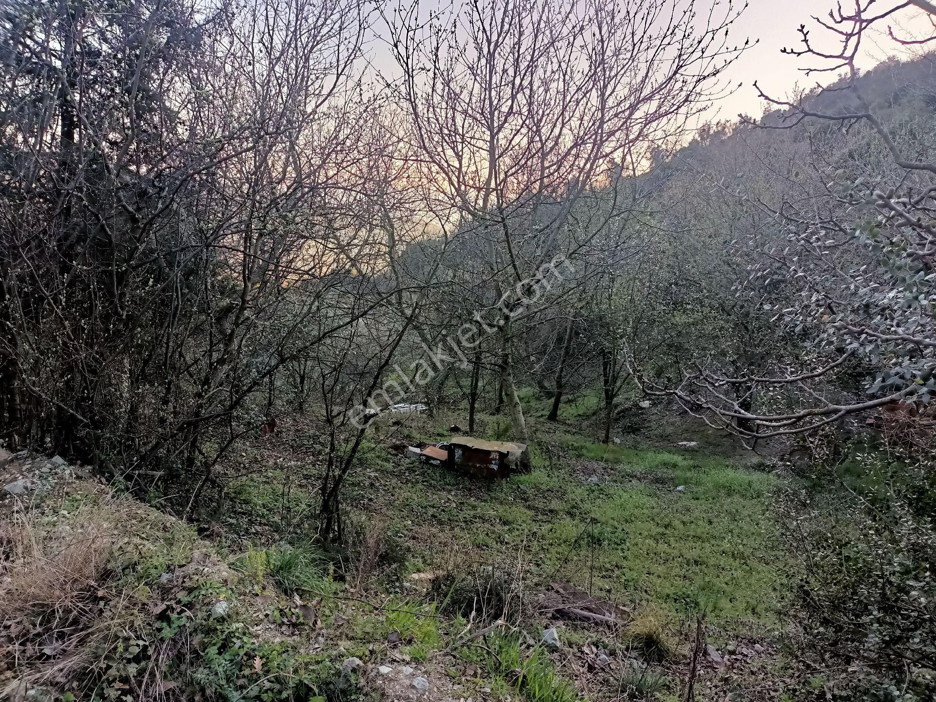 Alpasalan Emlak. 4515m2 Yol Kenarı Su İmkanlı Tarla - Görsel 10