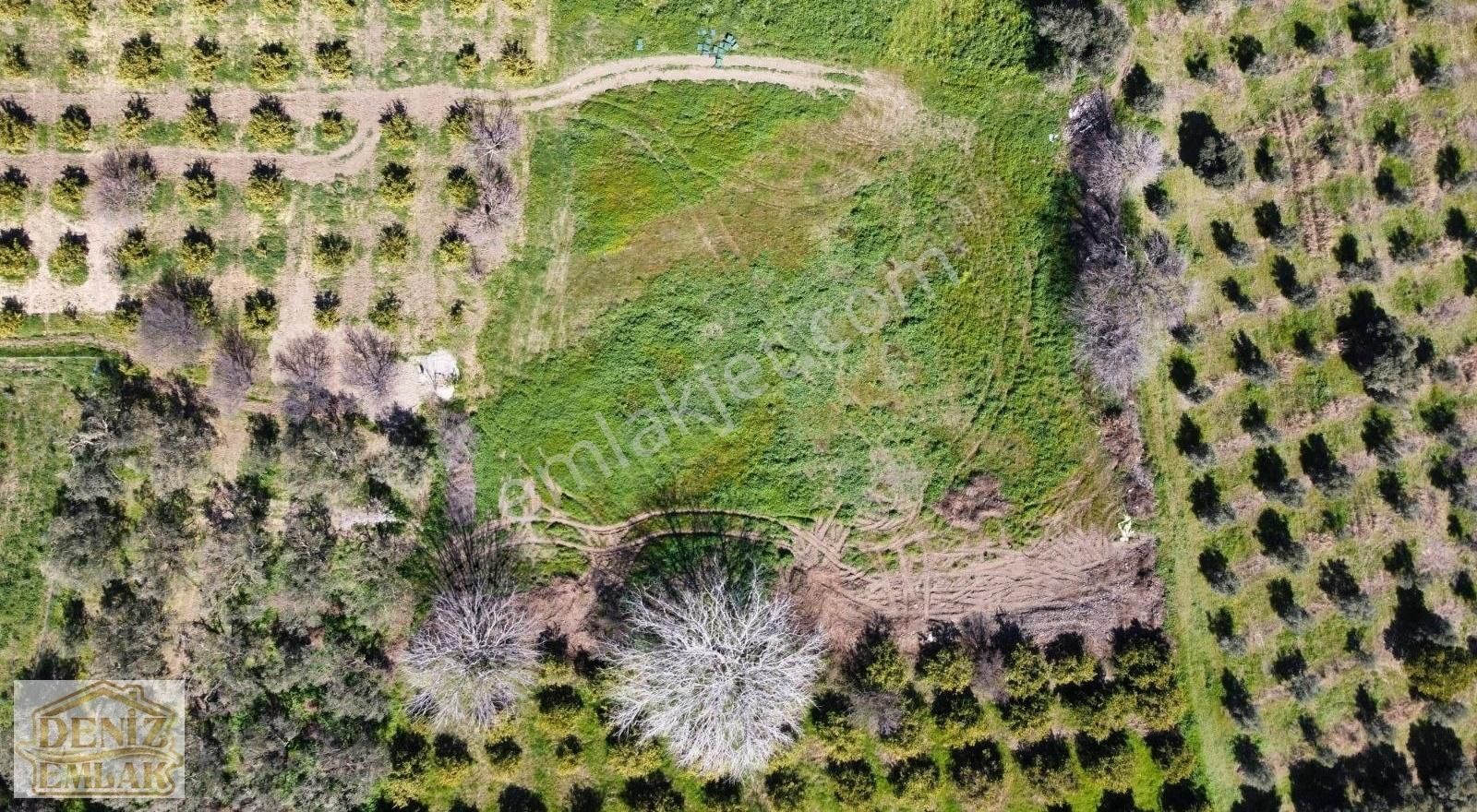 Acill Satılık 167 Metre Tarla - Görsel 3