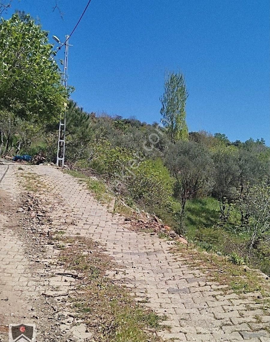 Gazi Emlaktan Müstakil Tapulu Taş Evimiz Ve Arsamız Satılık - Görsel 15