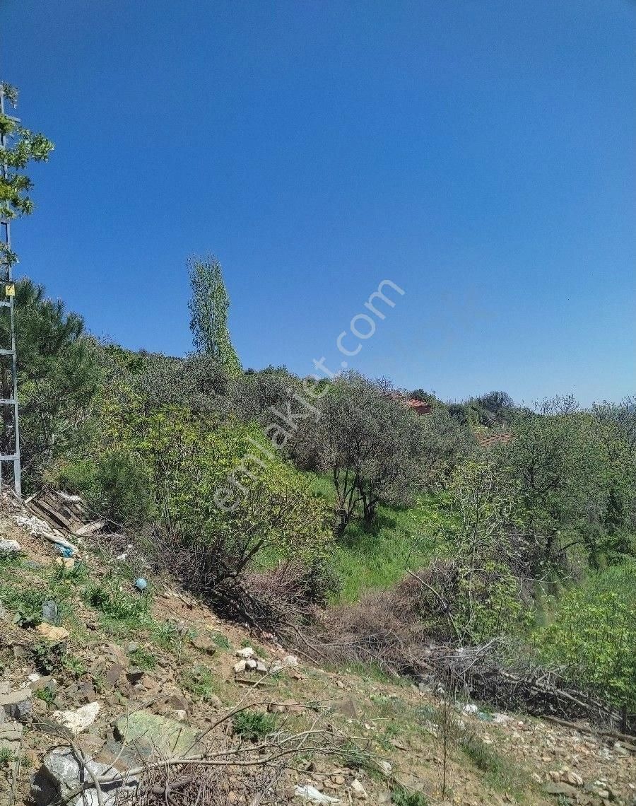 Gazi Emlaktan Müstakil Tapulu Taş Evimiz Ve Arsamız Satılık - Görsel 20