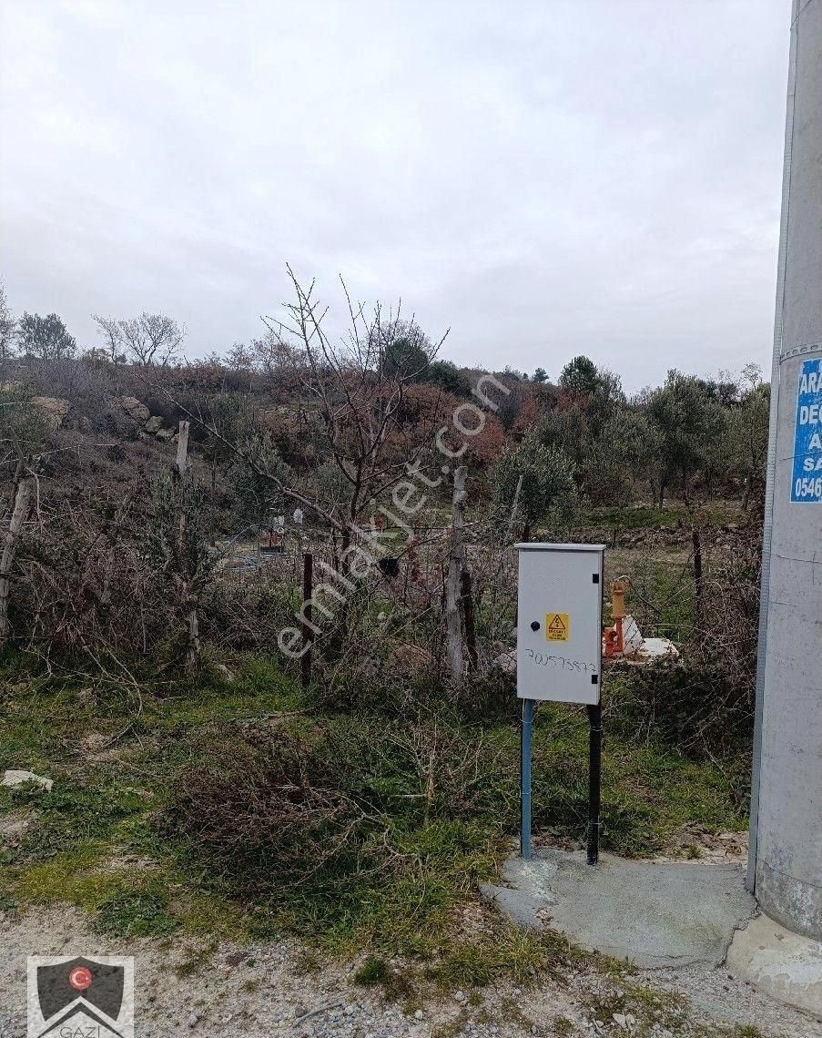 İzmir İli Kınık İlçesi Mustaklar Mah 1400 M2 Müstakil Tapulu Hobi Bahçemiz Yeni Sahibini Bekliyor - Görsel 6