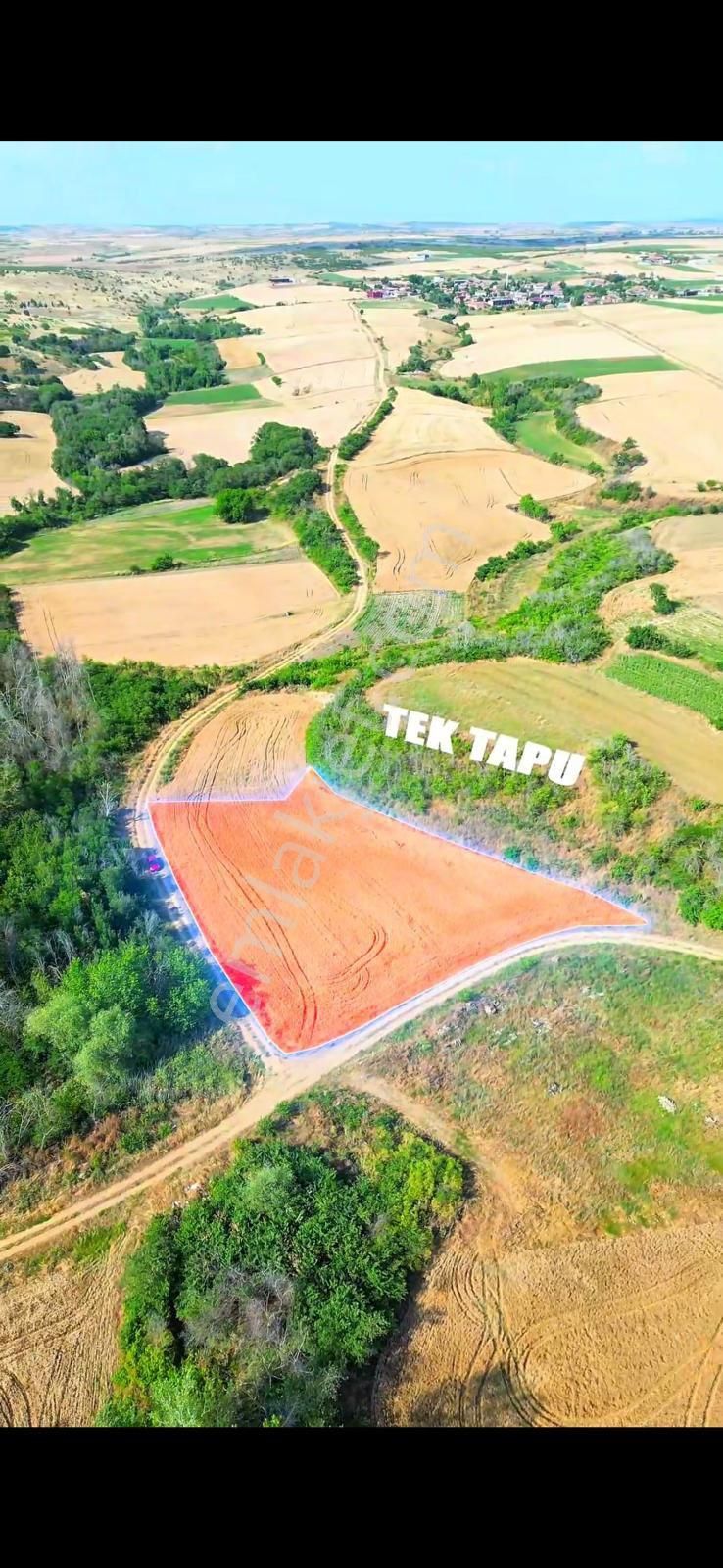 Edirne Süloğlu Sülecik'te 2523metre Tek Tapu Satılık Tarla