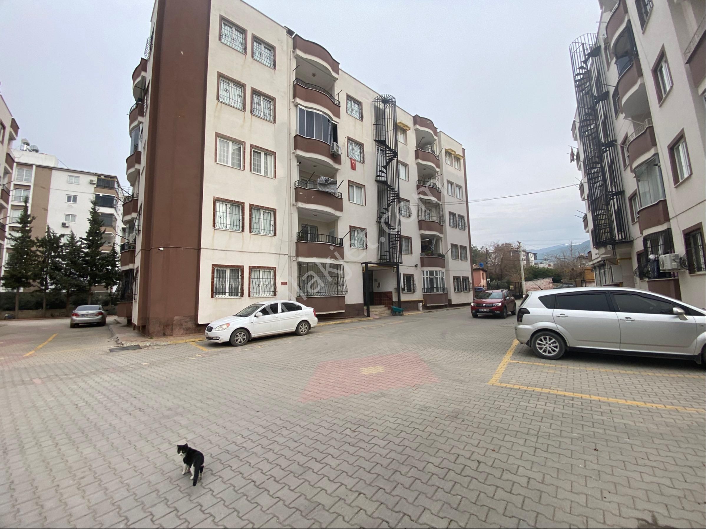 Osmaniye Merkez Ali Bekirli Kiralık Daire Aydoğan Kiralıyor! Merkezi Konumda Site İçerisinde 3+1