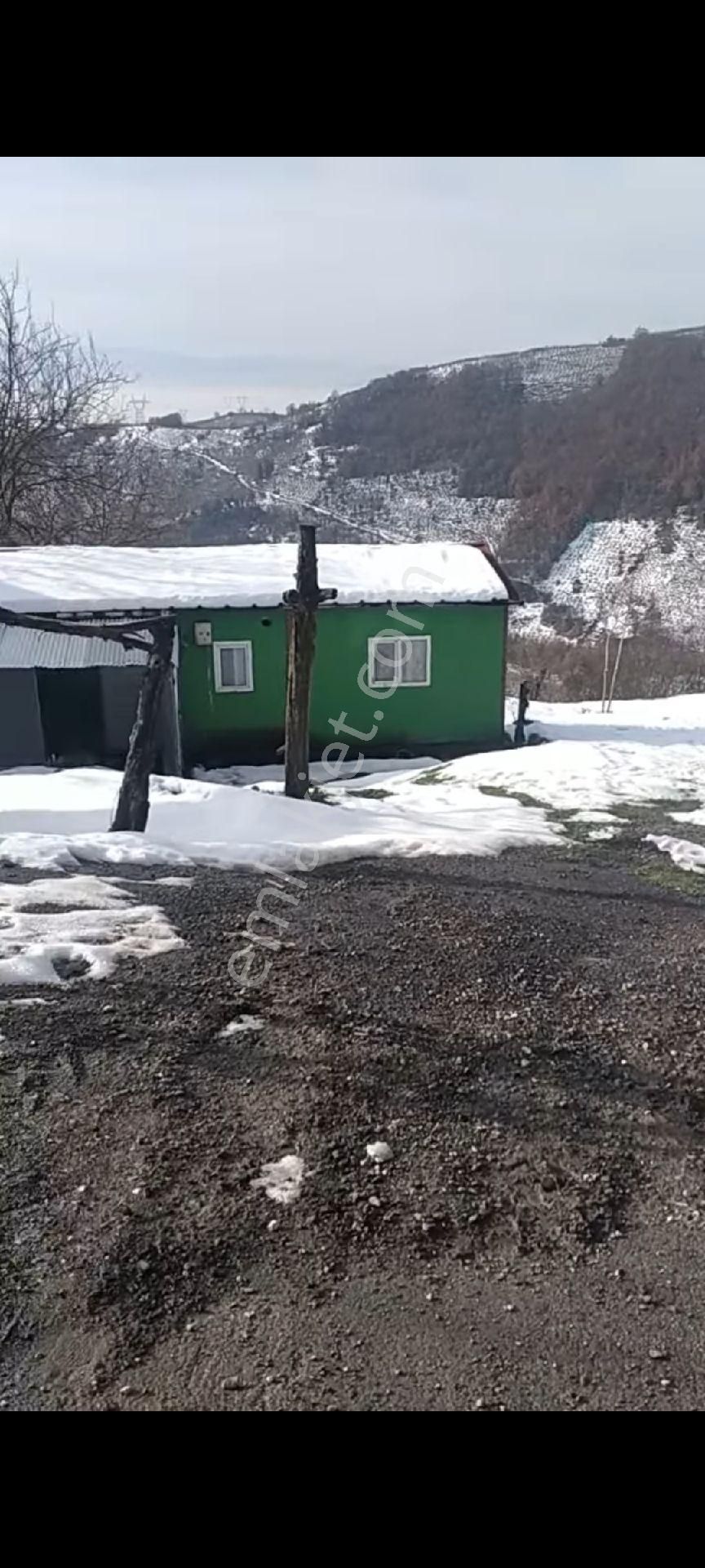 Düzce Satılık Arsa