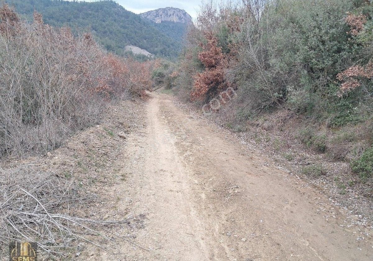 Şems Gayrimenkulden Eğerce Köyünde 2303m2 Satılık Hobi Bahçesi - Görsel 17