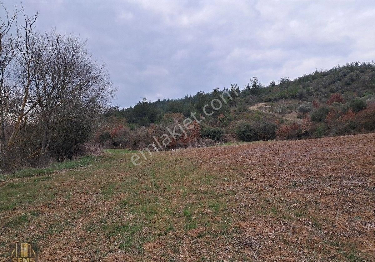 Şems Gayrimenkulden Eğerce Köyünde 2303m2 Satılık Hobi Bahçesi - Görsel 14