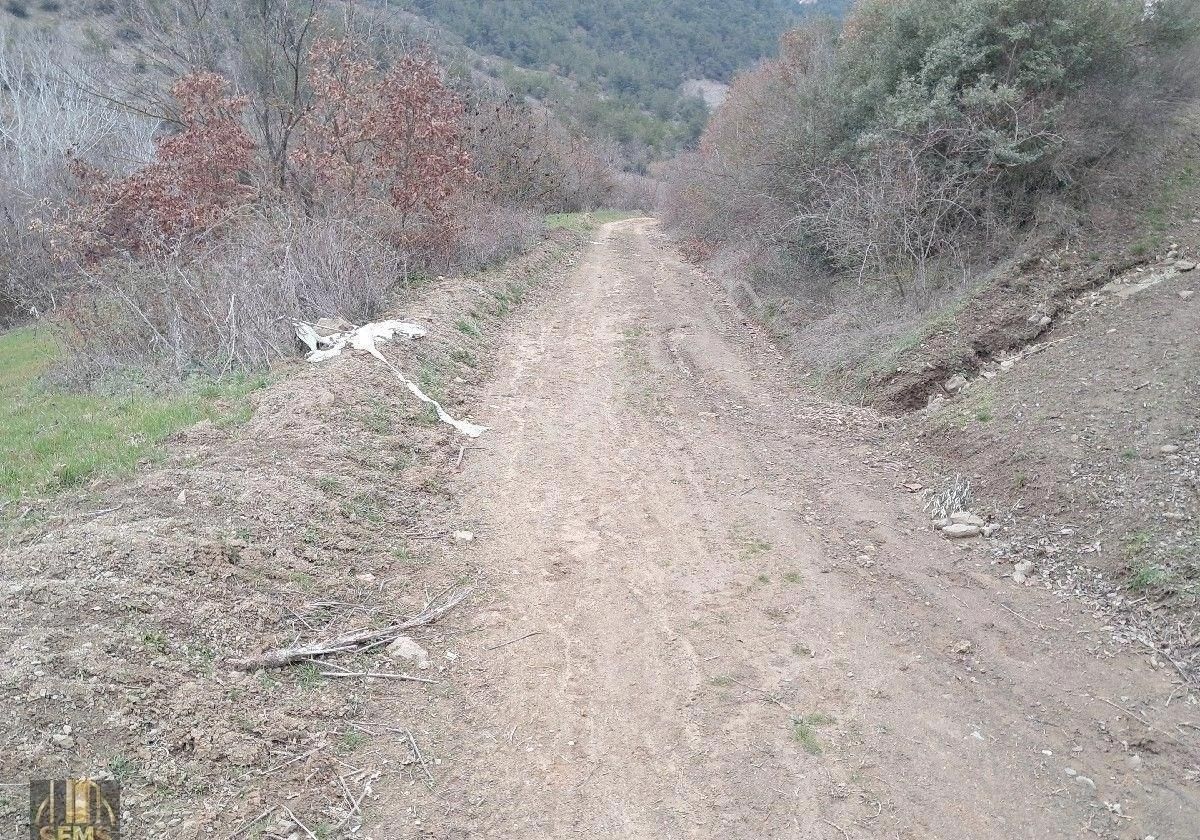 Şems Gayrimenkulden Eğerce Köyünde 2303m2 Satılık Hobi Bahçesi - Görsel 7