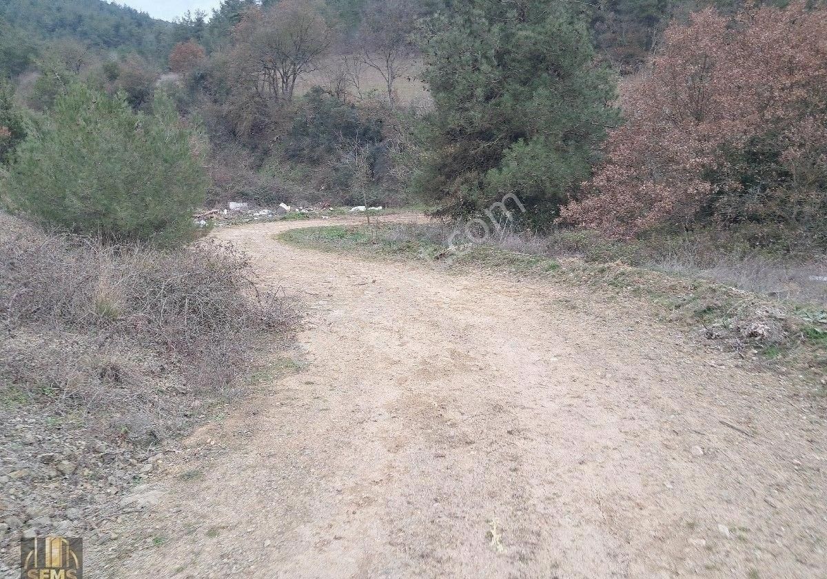 Şems Gayrimenkulden Eğerce Köyünde 2303m2 Satılık Hobi Bahçesi - Görsel 21
