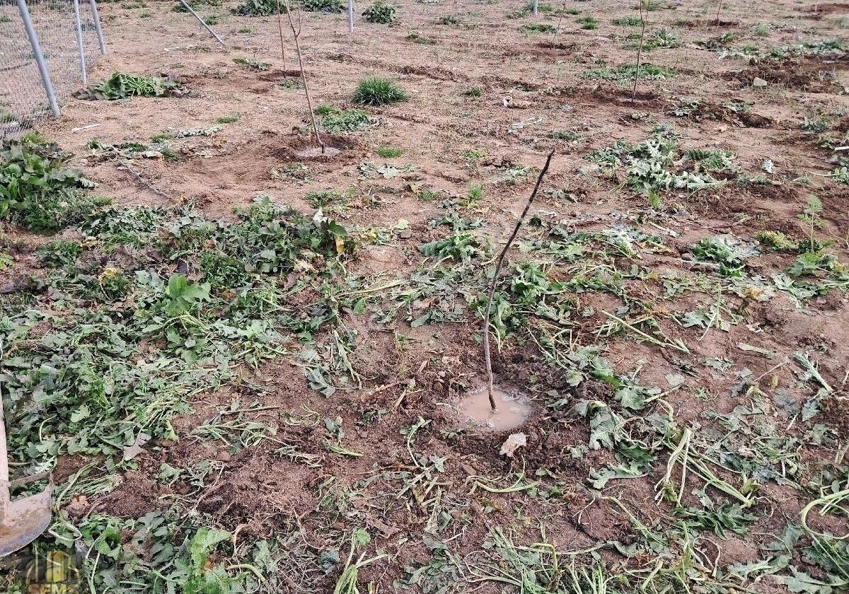 Fiyatı Düştü Şems Gayrimenkulden Hobi Bahçesi Resmi Yolu Var, Yer Altı Suyu Hazır, Telçit Yapılı. - Görsel 4