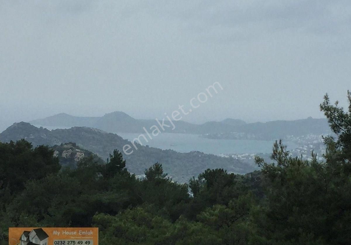 Muğla Bodrum Dağbelen Köyüne Yakın Satılık Zeytinli Tarla - Görsel 2