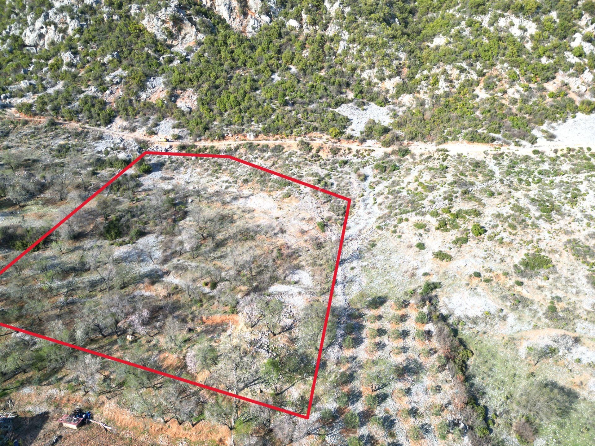 Alanya Bademağacı Köyünde Köyiçi İmarlı Mükemmel Manzaralı Satılık 3650 Metrekare Tarla. - Görsel 6